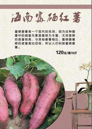 北京春节礼品卡 富硒红薯