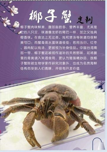 北京中秋节礼品 椰子蟹