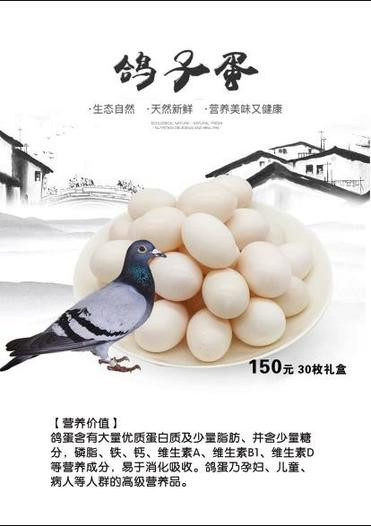 北京端午节礼品 鸽子蛋