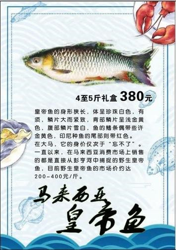 北京端午节礼品卡 马来西亚皇帝鱼
