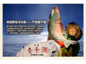 查干湖冬捕鱼 北京销售处